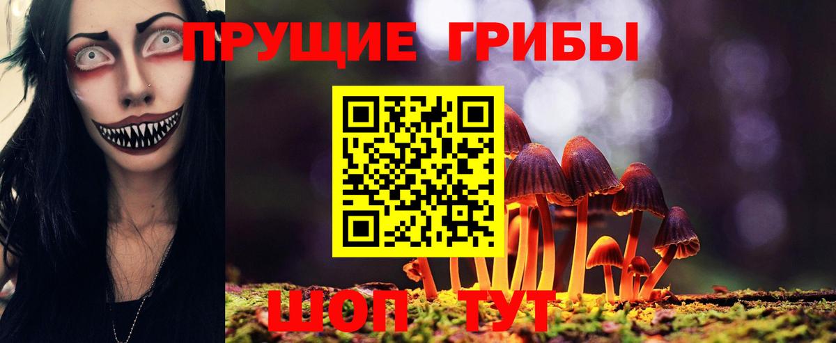Псилоцибиновые грибы Magic Shrooms  наркотики  Волгоград  Вход с VPN 